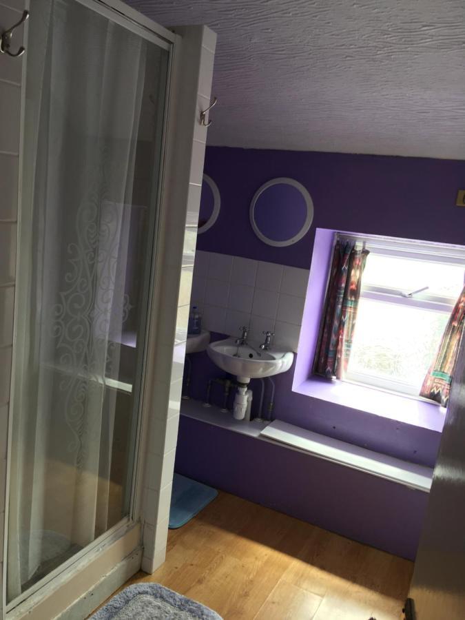 Pantyrathro International Hostel كرمرثن المظهر الخارجي الصورة